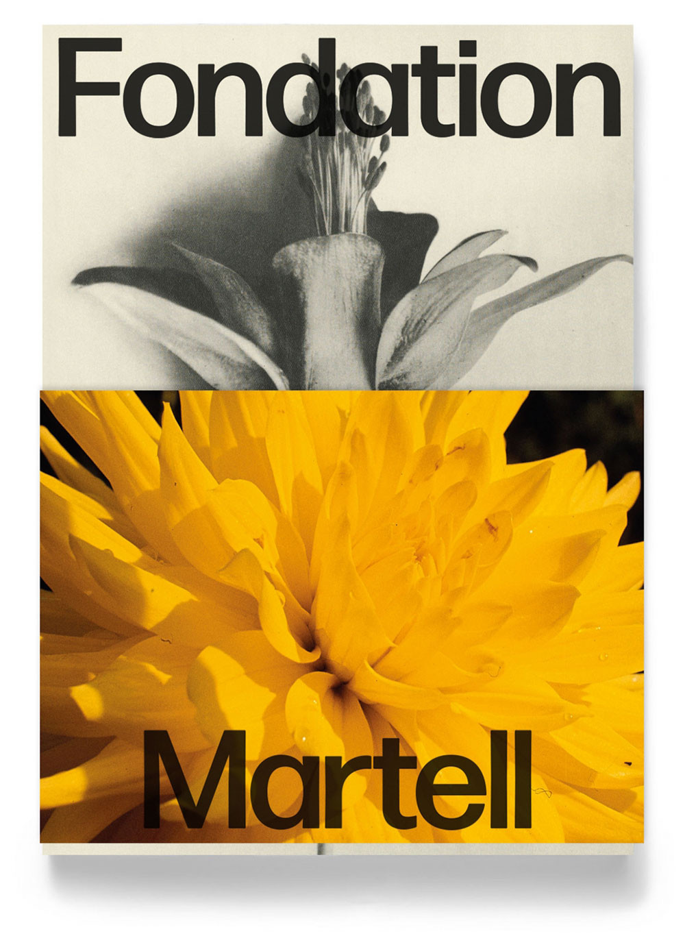 fondation-martell-2.jpg