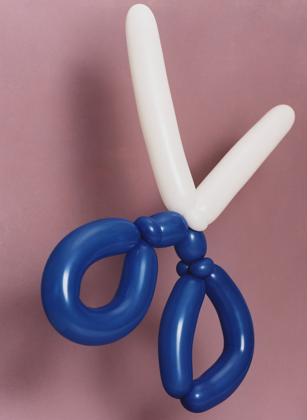 6toolsportrait-1.jpg