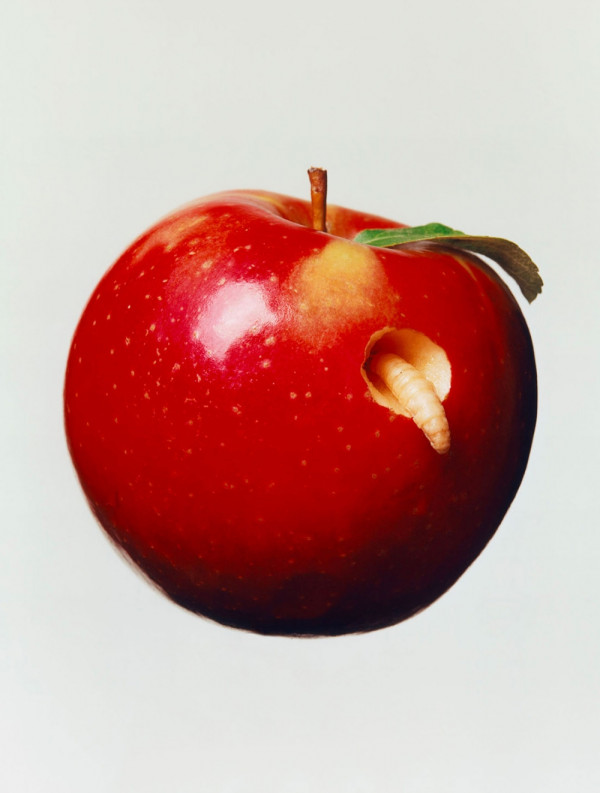 tools-apples-01b-1000x-q100.jpg
